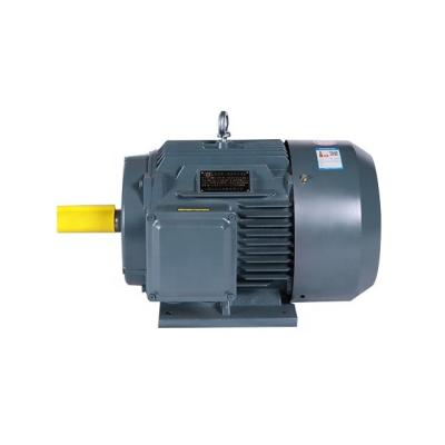 China YE2 Totally Enclosed 15kw 3 Phase AC 220v / 380v Electric Motor Induction Motor for sale