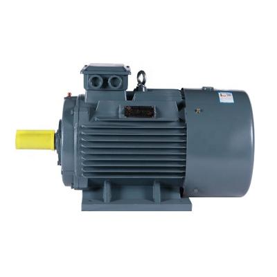 China Totally enclosed 3-plant main electric motor with high efficiency three-phase AC electric induction motor for sale