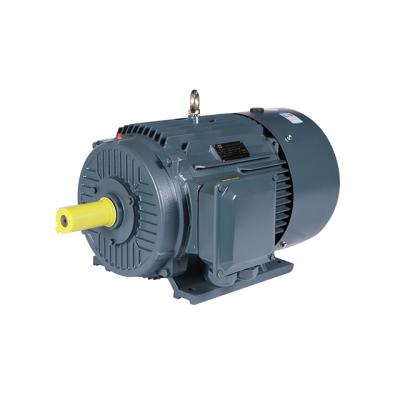 China Waterproof frequency controller low price 30kw ac water pump ie3 three phase electric motor for sale