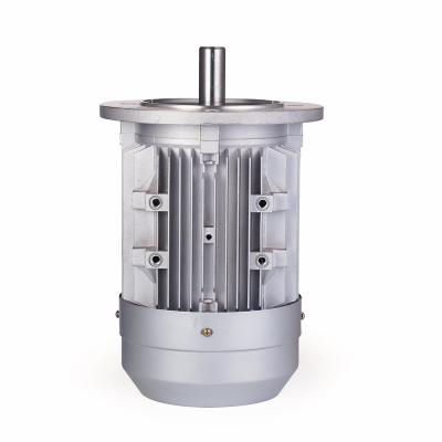 China Good Efficiency Totally Enclosed Vertical Asynchronous Motor Excellent AC Electric Water Motor Three Phase Motor for sale