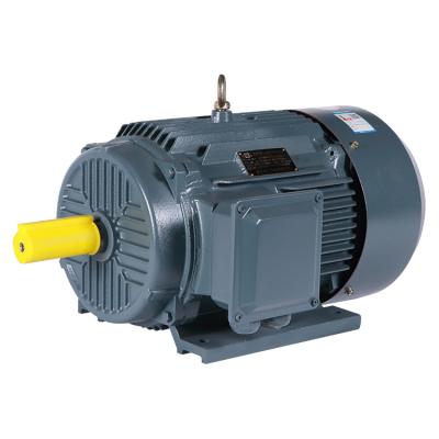 China hot selling drip proof 15kw 1460rpm YE2 160L-4 three phase asynchronous motor made in China for sale