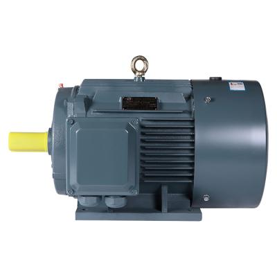 China 2019 latest design 30kw 2955 rpm YE2 200L1-2 three phase electric AC motor from China supplier YE2 200L1-2 for sale