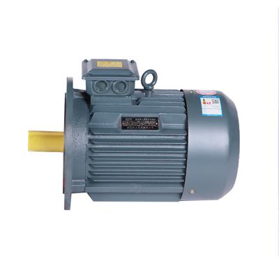 China hot selling drip proof 7.5kw 2900 rpm ac water pump three phase electric motor YE2 132S2-2 made in China for sale