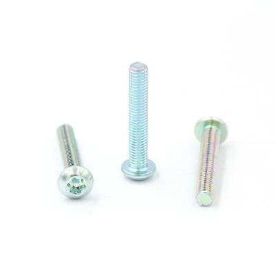 China Pan China Supplier Stainless Steel Torx Screw Custom 5/16