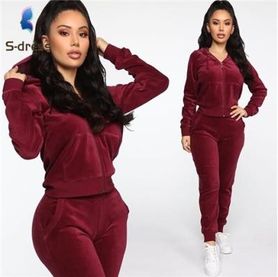 China Fall  Sleeve Female Fitted Suit Active Training  Women Fitted Velour Hooded Gym Tracksuit for sale