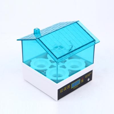 China Factory 4 Eggs Hatching Automatic Machine Transparent Poultry Incubator for sale