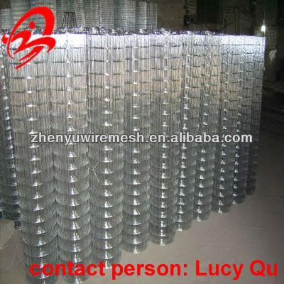 China High quality electrowelded plain weave mesh (15 years factory, competitive price) for sale