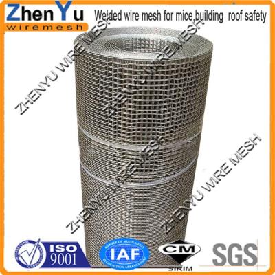 China SS Welded Wire 1/4