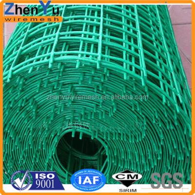 China Easily Assembled Netherland Network For Holland Fence / Wire Mesh For Sale for sale