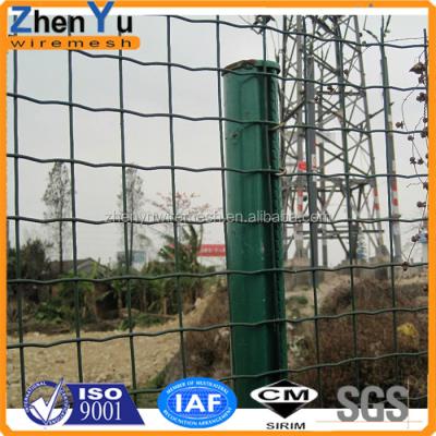 China Fence 1mx25m Mesh Welded 50x50mm Holland Wire Green Color Euro Fence For Euro Market For Fence for sale