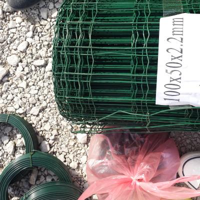 China Green color pvc dutch weave research coated eruo ripple fence holland wire mesh for sale