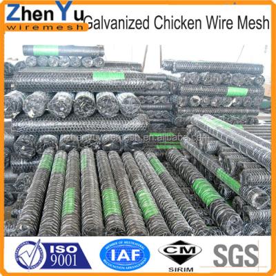 China Easy To Install Concrete Wire Mesh Standing Cement Plastering Chicken Wire Mesh For Plastering for sale