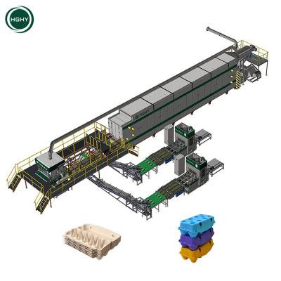 China Factory Hghy Fully Automatic Paper Eggs Carton Tray Box Case Making Paper Pulp Machine Biodegradable Packaging Machine for sale