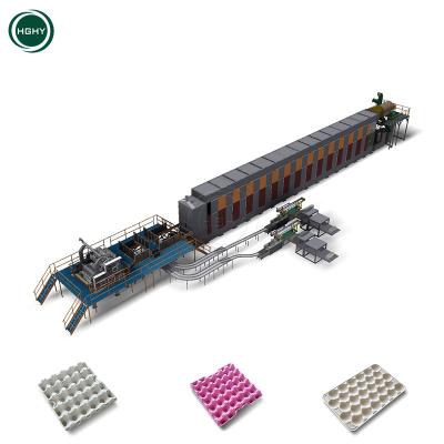 China HGHY Factory Different Styles Bamboo Fiber Egg Store Making Machine 12 Quail Egg Box Machine Egg Plate Paper Pulp Molding Machine for sale