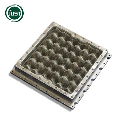 China Production of various fruit tray packaging HGHY pulp mold for egg tray fruit tray for sale