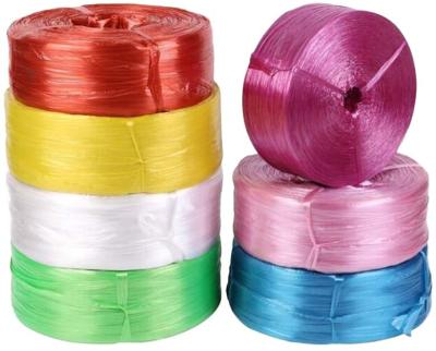 China Agriculture Baler Twine PP Baler Binding Twine For Sale for sale