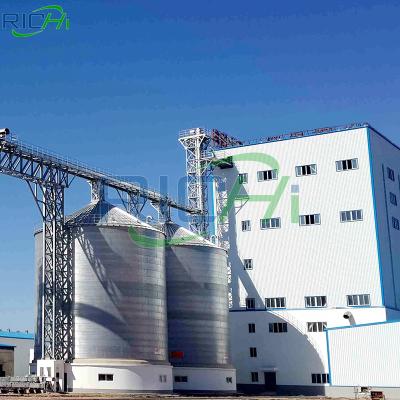 China Make Fully Automatic Poultry Feed RICHI Customized 40-50T/H Cattle Fish Animal Poultry Feed Production Line For America Customer for sale