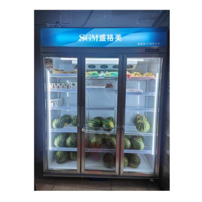 Cina Frutta e verdura Display Refrigeratore Commerciale 1333L in vendita