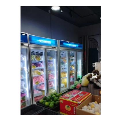 Cina 220V Display per frutta e verdura frigorifero raffreddatore Servizio personalizzato in vendita