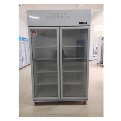 China Schaufenster Aufrechtes Display Kühlschrank 1260L Gefriertes Eis Display Gefrierschrank zu verkaufen