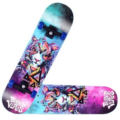 China Youth Wholesale Stock Skate Board Customize Cheap Full Board Maple White Skateboard for sale