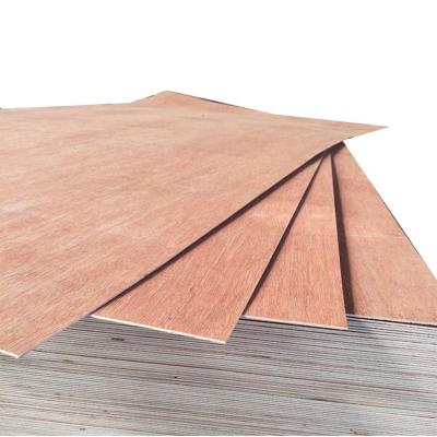 China Competitive Price Hardwood Modern Commercial Plywood Bintangor Plywood With Best Quality for sale