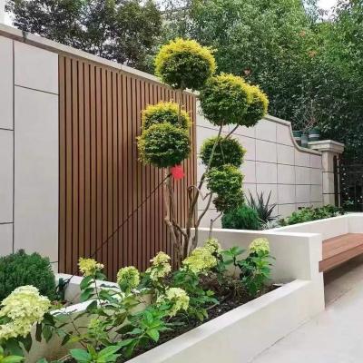 China Modern Wpc Exterior Wall Panel Decoration Exterior Composite Wpc Wall Cladding Suit For Exterior for sale