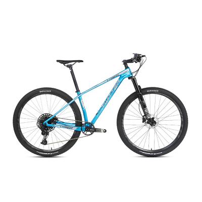 China Carbon T800 Mountain Bike With Sram SX 12speed Transmission Mtb For Men for sale