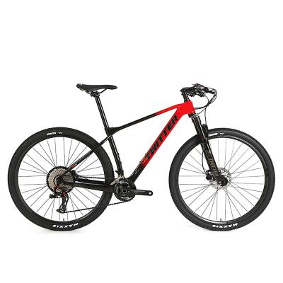 China ROOFDIER Pro29er-de Bergfiets 13 Snelheid Mtb van de Koolstofvezel Te koop