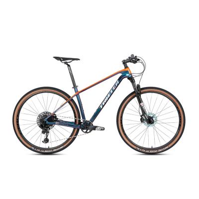 China Suspensão da forquilha do freio de disco MTB da velocidade de MAX Carbon Fiber Montain Bike SRAM SX 12 da parte alta T900 à venda