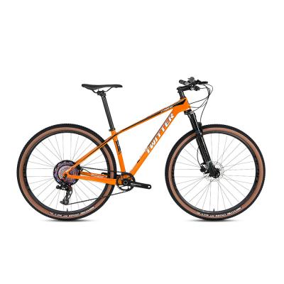 China 27.5 29er Carbon Firber Mountain Bike STORM2.0 RETROSPEC 13 Speed Groupset for sale