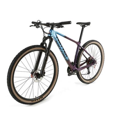 China Geschwindigkeits-Kohlenstoff-Mountainbike-schnelle Freigabe-hydraulische Bremsfahrrad 29er PREDATORpro RETROSPEC 13 zu verkaufen