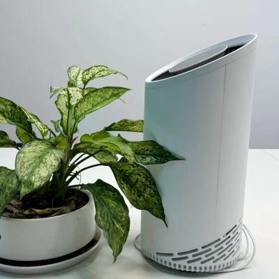 China Quiet Night Light HEPA Air Purifier with Touch Control and Sleep Mode for sale