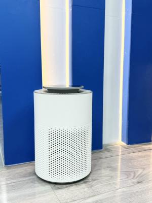 China Safe and Effective Cold Plasma HEPA Air Purifier for Clean and Healthy Indoor Air for sale