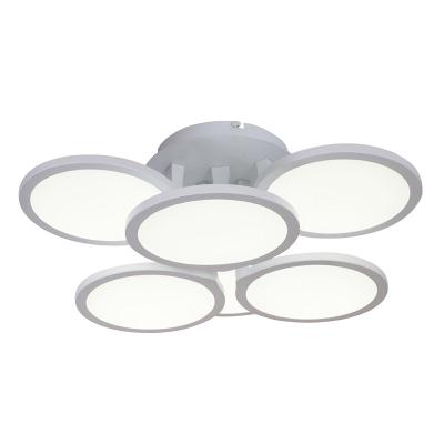 China New Design Surface Mounted Modern Sleek Ceiling Light for sale