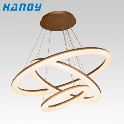 China Home Contemporary Chandelier Lamp Industrial Garden Decoration Loft Led Modern Pendant Lights for sale