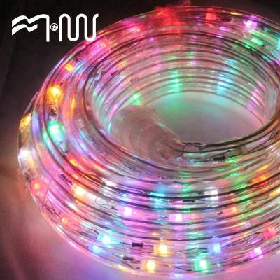 China Hotel Plastic Color Box Christmas RGB Led Rope Spiral Light For Sale for sale