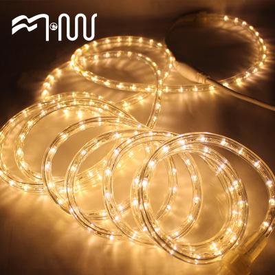 China Hard decorative outdoor decoration indoor/outdoor decoration led rope light 24led 36led per meter 110v 220v 12v 24v for sale