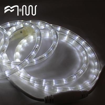 China Long Pain Light Surface Decoration Plastic Flexible Led Strip for sale