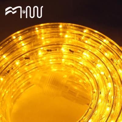 China LANDSCAPE Customize Different Colors Festival Plastic Flexible Led Strip Led Rope Light Decoration Light for sale