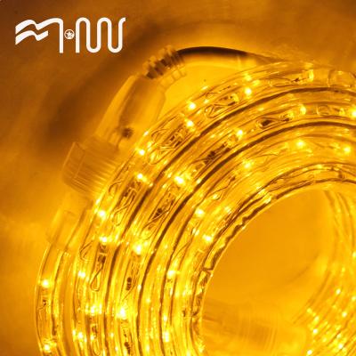 China Popular plastic different led light strip indoor/outdoor decoration new design for sale