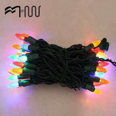 China Top Outdoor Garden ROHS Color Box Festival Decoration String Light for sale