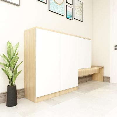 China Customized And Practical Design Durable Essential Furniture For Large Families MDF Environmental Friendly Large Special Shoe Cabinet for sale