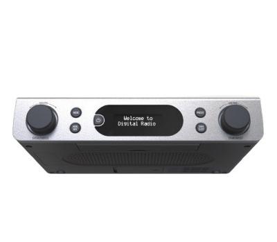 Chine Radio DAB/DAB sous-montée avec haut-parleur BT 5.0 et support OEM LOGO à vendre