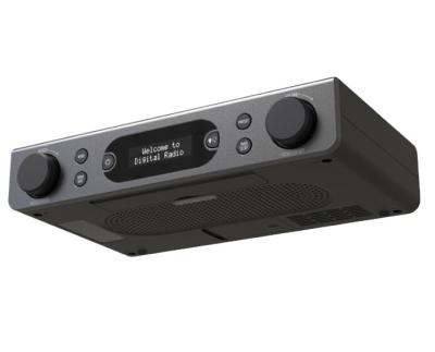 China 5V onder de toonbank Digitaal Tuning Keuken Radio Dab Tuner Voor Hifi Met Frame Te koop