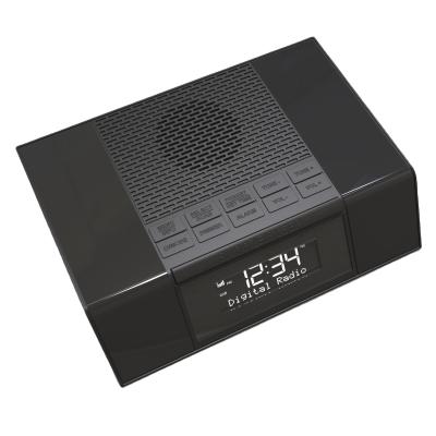 Κίνα Μείνετε συνδεδεμένοι με το Digital FM.DAB Display Clock και το ενσωματωμένο ηχείο οποτεδήποτε και οπουδήποτε προς πώληση