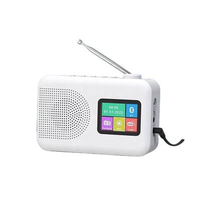 China Radio DAB/DAB FM portátil con altavoz y pantalla TFT en venta