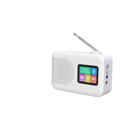 China BT 5.0 Portable DAB FM Bluetooth Radio Dab Small Radio With Built In Speakers for sale