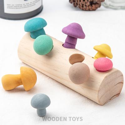 China Montessori Educational Wooden Mushroom Train Colorful Kids Matching Sorter Blocks Puzzle Early Learning Educational Toys Kids Gifts for sale