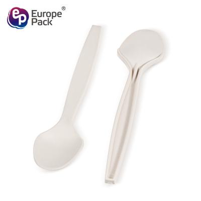 China Europe-Pack factory direct biodegradable corn starch 5 inch dessert spoon zu verkaufen